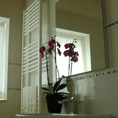 奎里努斯威尼斯公寓式酒店 4* 梅斯特雷